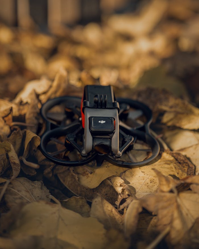 DJI Avata Drone on Fallen Leaves